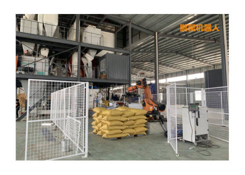 Feed palletizing cases of Weifang 